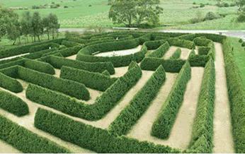 Clare Valley winery tour