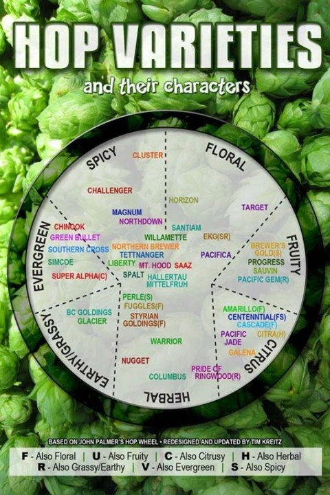 Hop Varieties