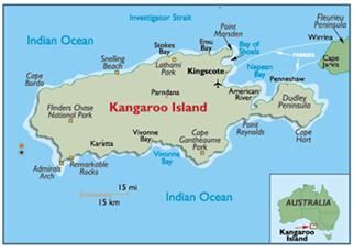 Kangaroo Island Wildlife Tour