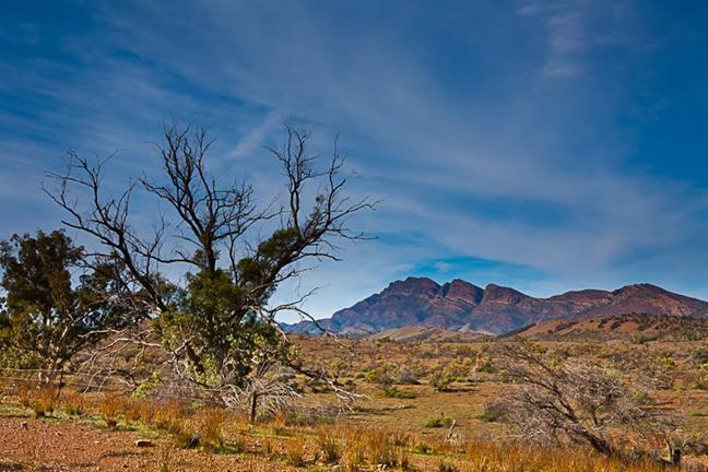 Lower Flinders Ranges Wine tour