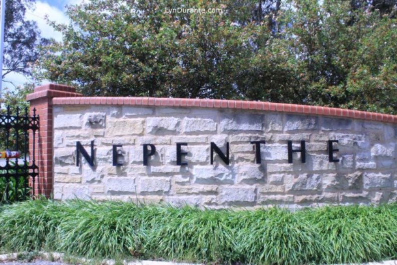 adelaide-hills-wine-region